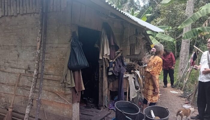 Kondisi Memprihatinkan di Saruaso Tanah Datar, Nenek Ramian dan Anaknya yang Lumpuh Tinggal di Gubuk Tak Layak Huni