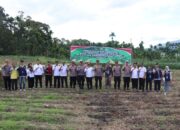 Dukung Swasembada Pangan, Polres Pasaman Lakukan Penanaman Jagung