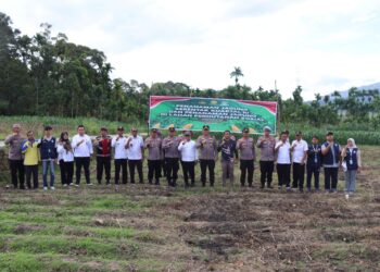 Dukung Swasembada Pangan, Polres Pasaman Lakukan Penanaman Jagung