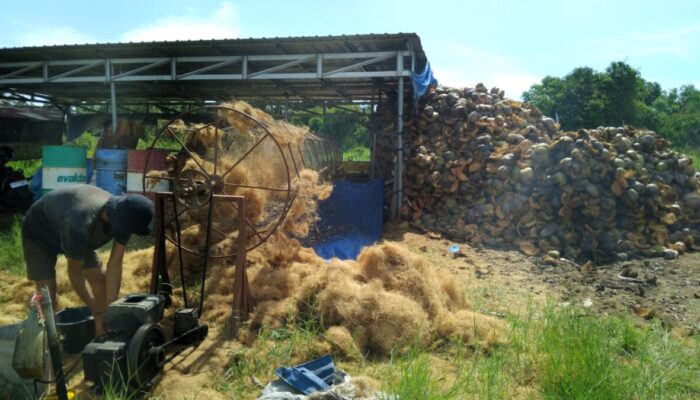 Sabut Kelapa Jadi Ladang Usaha di Pariaman