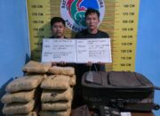 Tim Opsnal Satresnarkoba Polres Pasaman Amankan 21 Paket Narkotika Jenis Ganja