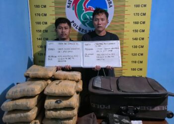 Tim Opsnal Satresnarkoba Polres Pasaman Amankan 21 Paket Narkotika Jenis Ganja