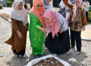 Ketua TP PKK Agam Tinjau Persiapan Lomba Provinsi di Nagari Panta Pauah