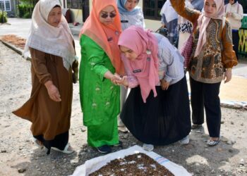 Ketua TP PKK Agam Tinjau Persiapan Lomba Provinsi di Nagari Panta Pauah