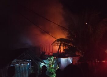 Api Lalap Warung di Padang Pariaman, Petugas Damkar Berjibaku Lakukan Pemadaman