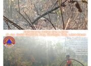 Pantauan Kejadian Bencana dalam 24 Jam Terakhir, Karhutla Masih Mendominasi