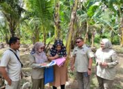 Kantah Padang Pariaman Laksanakan Peninjauan Lapangan KKPR di Kataping