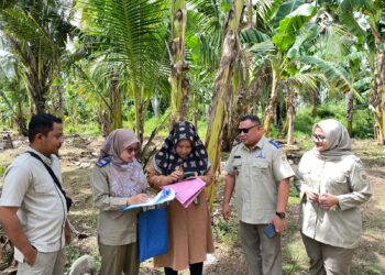 Kantah Padang Pariaman Laksanakan Peninjauan Lapangan KKPR di Kataping