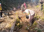 Perkembangan Situasi dan Penanganan Bencana di Tanah Air 25 Juli 2025