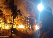 Perkembangan Situasi dan Penanganan Bencana di Tanah Air Tanggal 28 Juli 2025