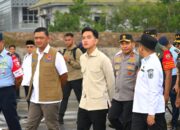 Kondisi Terkendali, Wapres Gibran Apresiasi Penanganan Karhutla Riau