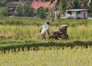 Regenerasi Petani Sumbar Terancam, Profesi Bertani Dianggap Tak Menjanjikan