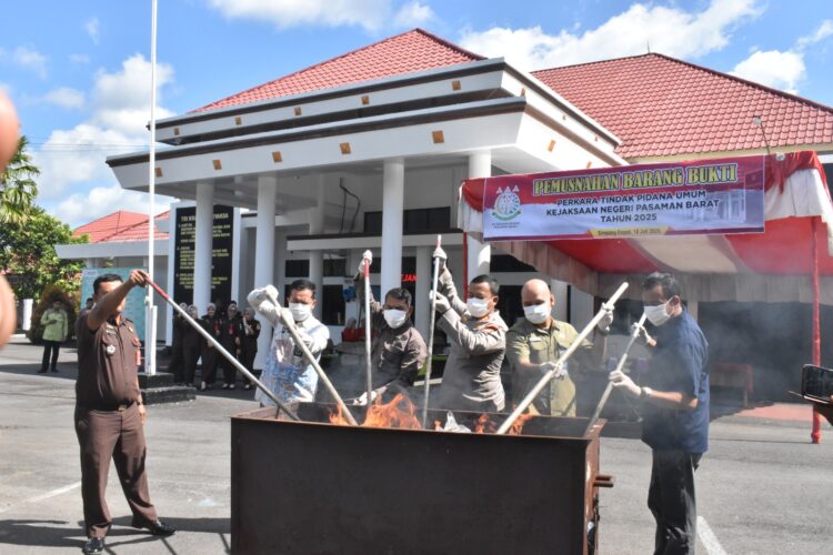 Unsur forkopimda membakar 49 BB di halaman Kantor Kejari Pasaman Barat. OSNIWATI