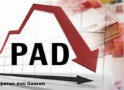 Realisasi APBD Sumbar 2025 Seret, Pemprov Dihantui Beban Utang dan Merosotnya PAD