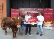 Telkomsel Bagikan Hewan Kurban ke Lebih dari 600 Titik Prioritas di Seluruh Penjuru Indonesia