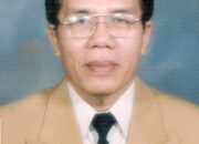 Membedah Sawah Pokok Murah