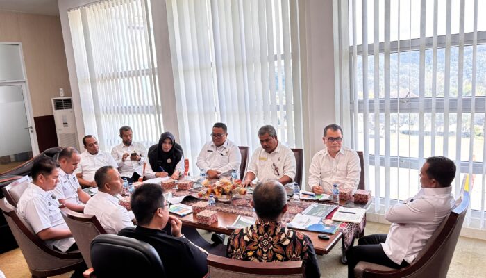 Pemkab Solok Audiensi Pengembangan Geothermal