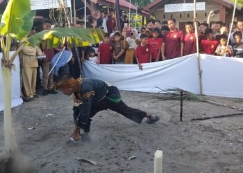 Prosesi Tabuik Manabang Batang Pisang Lambangkan Ketajaman Pedang Husain