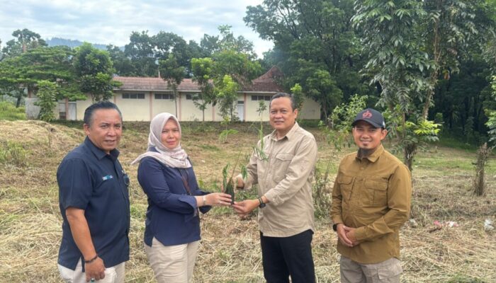 Kolaborasi PT Semen Padang dan Kwarda Sumbar: Tanam 50 Ribu Kaliandra untuk Energi Hijau