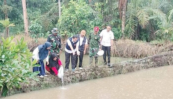 TMMD Reguler ke-125 Tebar Benih Ikan Nila di Dharmasraya