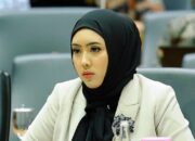Anggota DPR Soroti Dugaan Beras Oplosan, Cindy Monica Desak Tindak Tegas Mafia Pangan