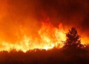 Antisipasi Karhutla Meluas, BPBD Sumbar dan BNPB Gelar Operasi Modifikasi Cuaca