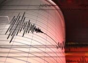 Gempa M 5,1 Guncang Kepulauan Tanimbar Kepulauan Maluku