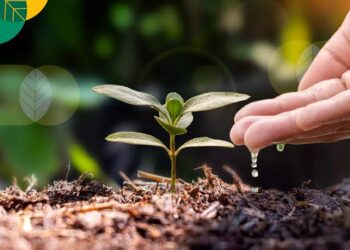 Sembilan Gebrakan Pertanian Sumbar: Dari Bengkel Alsintan hingga Sertifikasi Benih