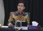 Ditunjuk sebagai Kepala Badan Percepatan Pembangunan, Gibran Tak Akan Berkantor di Papua