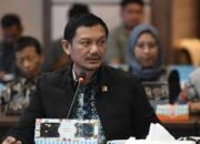 Legislator Apresiasi Rencana Presiden Tugaskan Wapres Secara Khusus Urus Papua