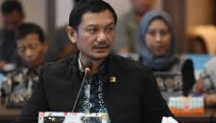 Legislator Apresiasi Rencana Presiden Tugaskan Wapres Secara Khusus Urus Papua