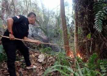 Sumbar Waspada Karhutla, Puluhan Hektare Terbakar Sepanjang Bulan Juni