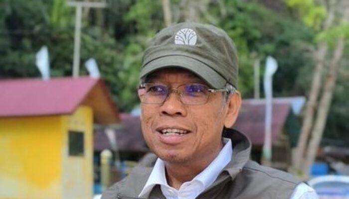 Pastikan Penyebab Kematian Anak Harimau di TMSBK  Bukittinggi, Kemenhut Lakukan Pemeriksaan Genetik