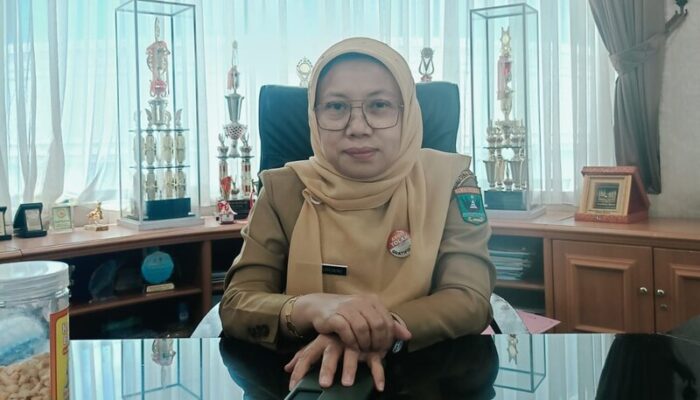 Sumbar Usulkan Rp156 Miliar ke Pusat untuk Perbaikan 17 Daerah Irigasi