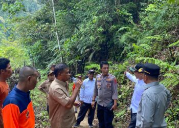Tindaklanjut Jembatan Ambruk, Bupati Pasaman dan Forkopimda Pastikan Jadi Prioritas