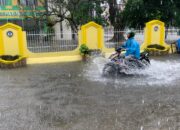 Hujan Deras Landa Kota Padang, Warga Diminta Waspada Genangan Air dan Pohon Tumbang