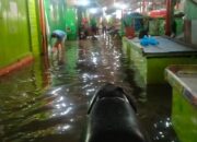 Intensitas Hujan Tinggi dan Air Pasang, Kawasan Pasar Tanah Kongsi Digenangi Air