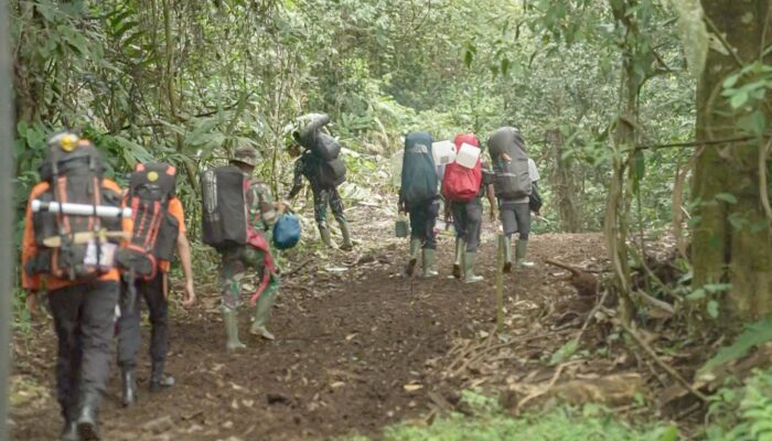 Pendakian Gunung Kerinci via Solsel, Jalur Landai dan Kaya Ekosistem