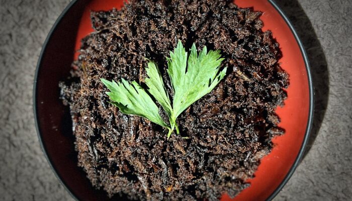 Gastronomi dalam Lintas Waktu: Eksistensi Rendang Belalang yang Takkan pernah Hilang 