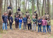 Pertamina Pematang Siantar Dukung Wisata Edukasi Konservasi Gajah di Aek Nauli