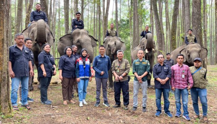 Pertamina Pematang Siantar Dukung Wisata Edukasi Konservasi Gajah di Aek Nauli