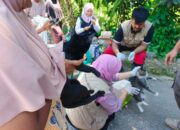 Antisipasi Rabies, Ratusan Hewan Peliharaan di Asampulau Divaksinasi