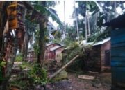 Perkembangan Situasi dan Penanganan Bencana 29 Agustus 2025