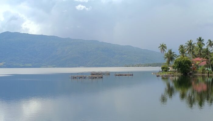 Ancaman Baru Ikan Bilih, Limbah Rumah Tangga Cemari Danau Singkarak