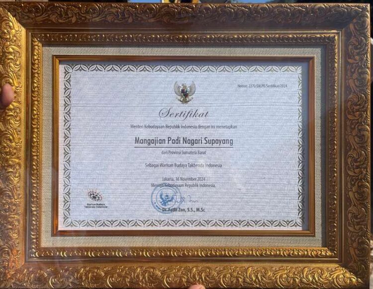 Mangajian Padi Supayang