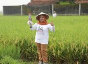 ATR/BPN Dorong Partisipasi Masyarakat Pasang Patok Batas Tanah melalui Gemapatas