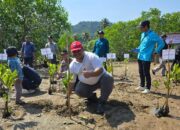 Dukung Pelestarian Pesisir, PT Semen Padang Ikut Serta Dalam Penanaman 1.000 Bibit Mangrove di Sungai Pisang