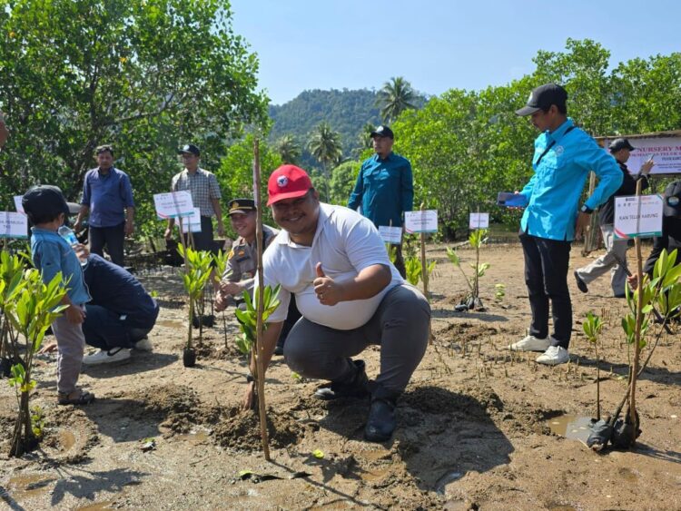 PT Semen Padang turut serta dalam penanaman 1.000 bibit mangrove di Pantai Sungai Pisang, Kelurahan Teluk Kabung Selatan, Kecamatan Bungus Teluk Kabung, Kota Padang, Sabtu (9/8). IST