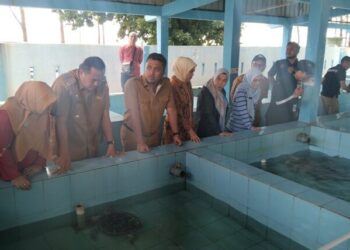 KONSERVASI PENYU--Wagub Sumbar, Vasko Ruseimy saat melakukan kunjungan ke Unit Pelaksana Teknis Daerah (UPTD) Konservasi Penyu di Kota Pariaman, Selasa (19/8). MITHA