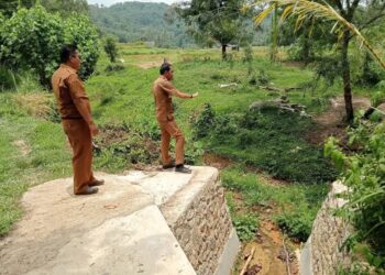 Irigasi P3-TGAI di Batu Tanjung Rampung, 20 HA Sawah Dialiri Air